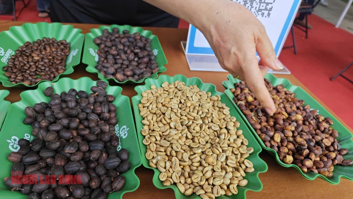 Giá cà phê hôm nay tăng đồng loạt , Dự báo xu hướng trước Tết 2023 - Ảnh 2. Giá cà phê hôm nay tăng đồng loạt , Dự báo xu hướng trước Tết 2023 - Ảnh 2.