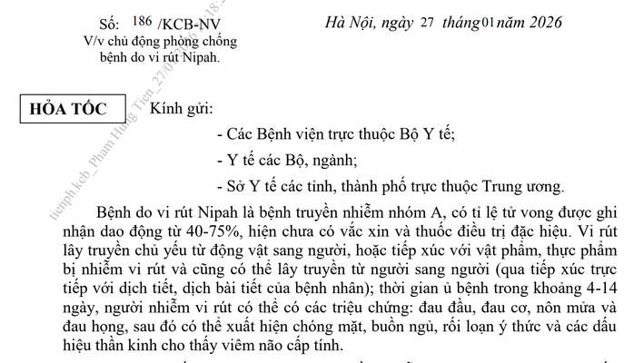 Bộ Y tế ra c&ocirc;ng văn hỏa tốc ph&ograve;ng, chống virus Nipah - Ảnh 1.