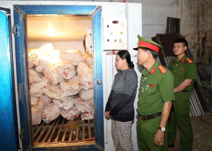 Đồng Nai: Bắt L&ecirc; Thị B&iacute;ch Phượng v&igrave; mua heo bệnh dịch tả heo ch&acirc;u Phi - Ảnh 1.