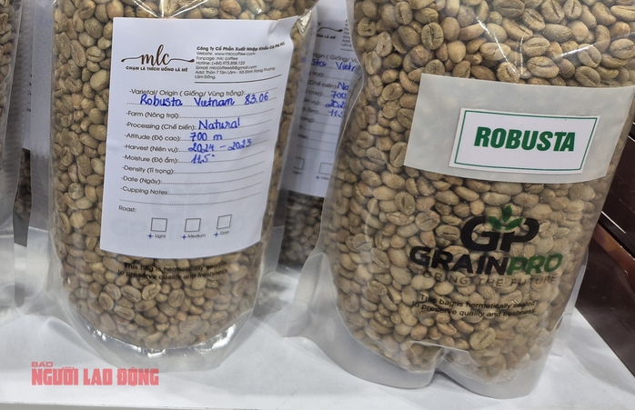 Gi&aacute; c&agrave; ph&ecirc; h&ocirc;m nay 3 - 1: Tăng nhẹ v&agrave; triển vọng thị trường 2026 - Ảnh 2.