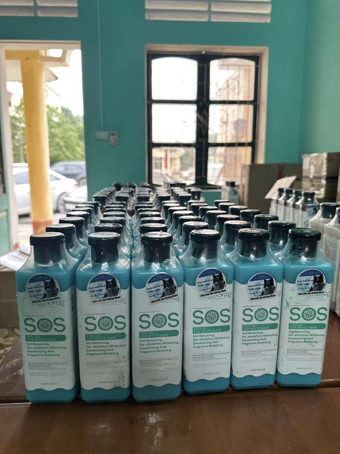 Bắt giữ gi&aacute;m đốc của 2 c&ocirc;ng ty - Ảnh 2.