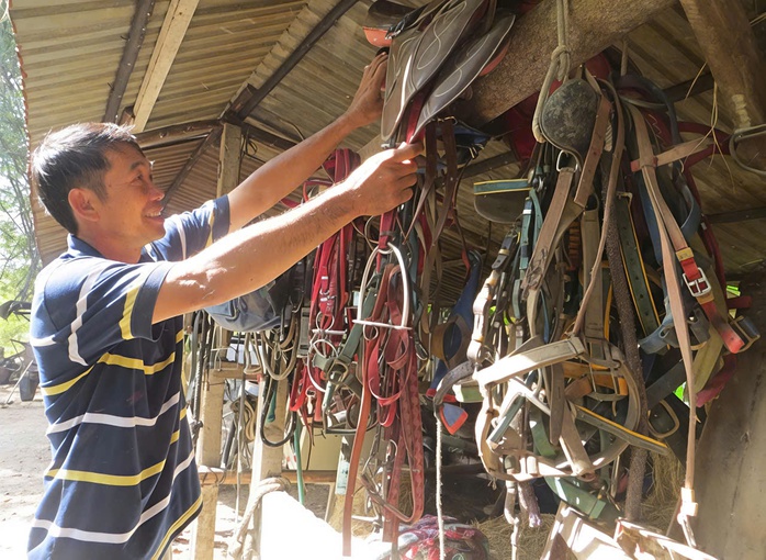 Thăng trầm l&agrave;ng ngựa Đức H&ograve;a - Ảnh 1.