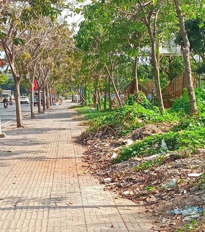 Dọn dẹp b&atilde;i r&aacute;c - Ảnh 1.