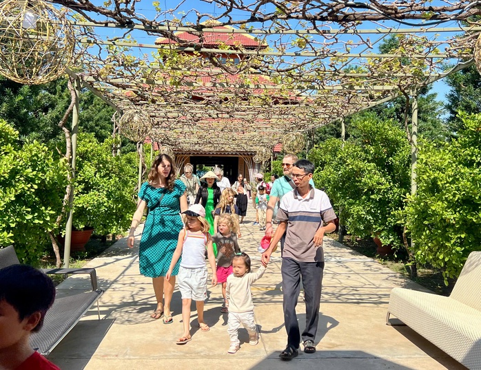 Kh&aacute;nh H&ograve;a: Hơn nửa triệu lượt kh&aacute;ch tham quan, lưu tr&uacute; dịp Tết Dương lịch 2026 - Ảnh 1.