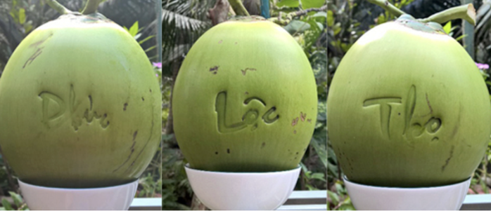 Thị trường Tết kh&ocirc;ng c&ograve;n mặn m&agrave; với tr&aacute;i c&acirc;y "độc, lạ"? - Ảnh 1.