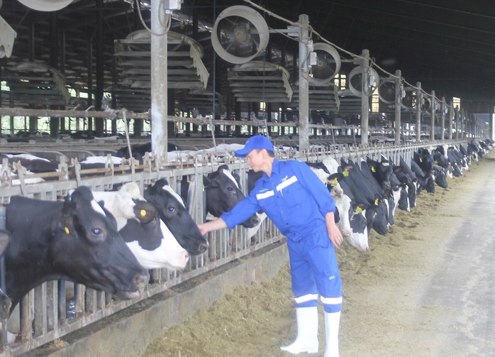 KIẾN TẠO VỊ THẾ, TƯƠNG LAI (*): Đưa sữa Việt ra thế giới - Ảnh 2.