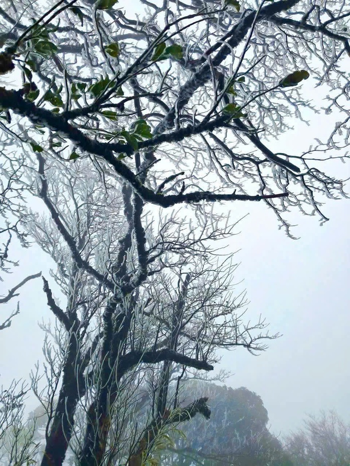 Băng giá Cao Bằng xuất hiện trên đỉnh Phja Oắc giữa mùa đông lạnh giá - Ảnh 1. Băng giá Cao Bằng xuất hiện trên đỉnh Phja Oắc giữa mùa đông lạnh giá - Ảnh 1.