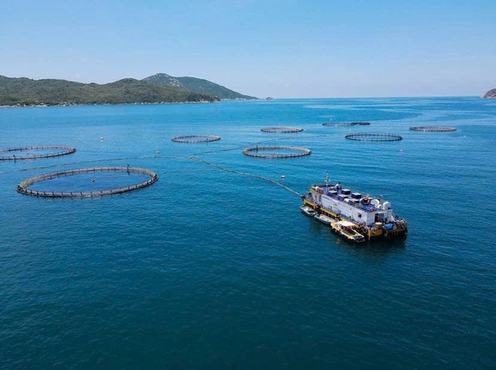 Không thể dựa mãi vào lợi thế có sẵn - Ảnh 1.