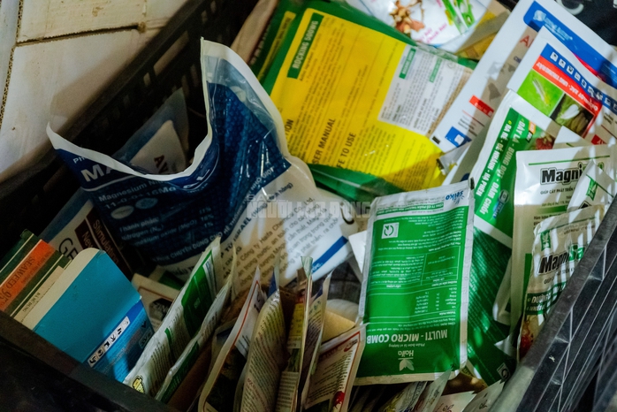 VIDEO: N&ocirc;ng d&acirc;n l&agrave;ng hoa Thới An tất bật m&ugrave;a Tết, kh&oacute; định gi&aacute; hoa xứng c&ocirc;ng - Ảnh 24.