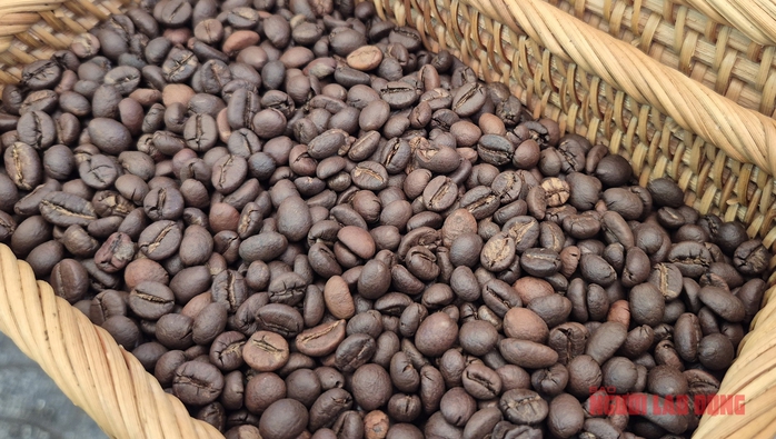 Giá cà phê hôm nay 9 - 1 giảm nhẹ , dự báo tiêu thụ toàn cầu tăng kỷ lục - Ảnh 2. Giá cà phê hôm nay 9 - 1 giảm nhẹ , dự báo tiêu thụ toàn cầu tăng kỷ lục - Ảnh 2.