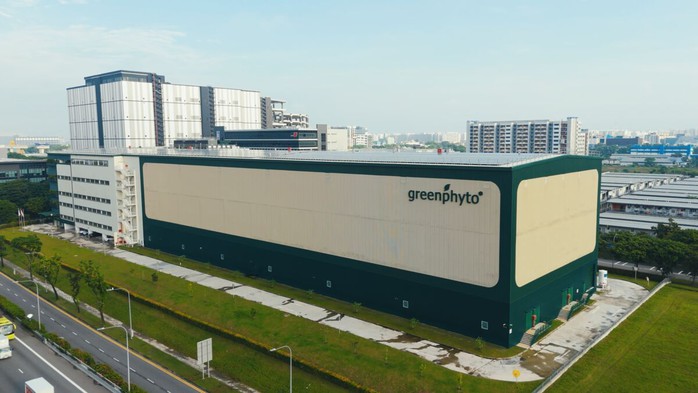 Singapore th&uacute;c đẩy n&ocirc;ng nghiệp thẳng đứng - Ảnh 1.