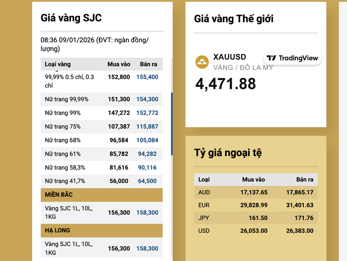 Gi&aacute; v&agrave;ng SJC v&agrave; v&agrave;ng nhẫn tăng trở lại s&aacute;ng 9 - 1 - Ảnh 3.