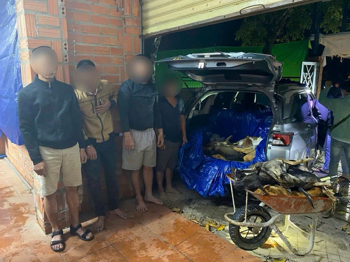 Đường d&acirc;y trộm v&agrave; giết mổ ch&oacute; quy m&ocirc; lớn tại T&acirc;y Ninh bị triệt ph&aacute; - Ảnh 2.