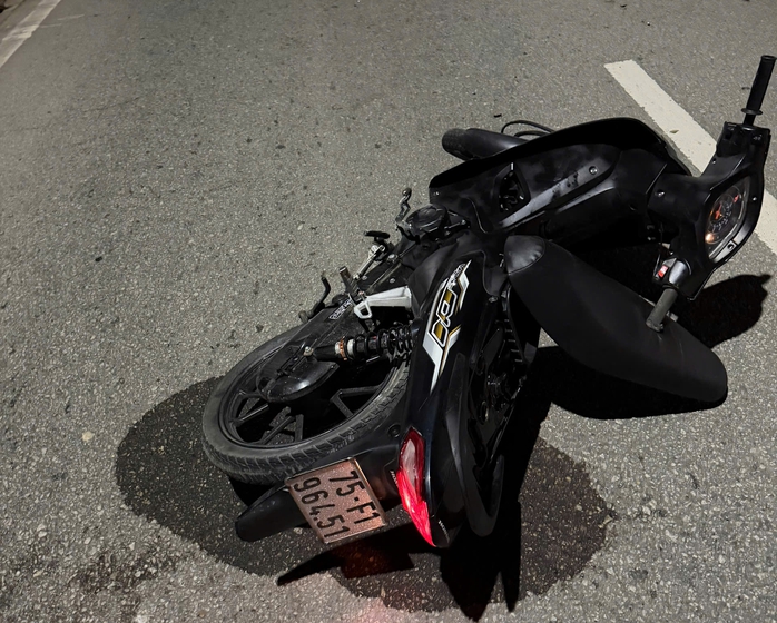 - Ảnh 1. - Ảnh 1.