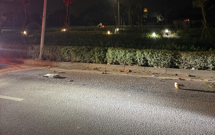 - Ảnh 2. - Ảnh 2.