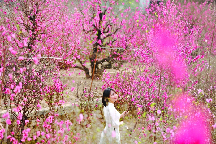 Một Hà Nội studio xuân - Ảnh 2.