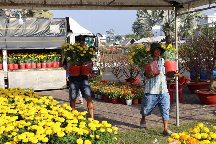 Hoa Tết gi&aacute; mềm, h&uacute;t kh&aacute;ch - Ảnh 1.