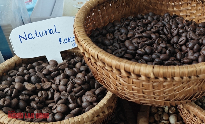 Gi&aacute; c&agrave; ph&ecirc; h&ocirc;m nay 10-2: Đồng loạt tăng - Ảnh 1.