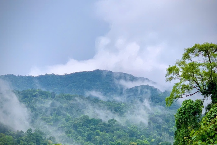 Ngắm vẽ đẹp hoang sơ, kỳ vĩ tại Vườn quốc gia Vũ Quang - Ảnh 4.