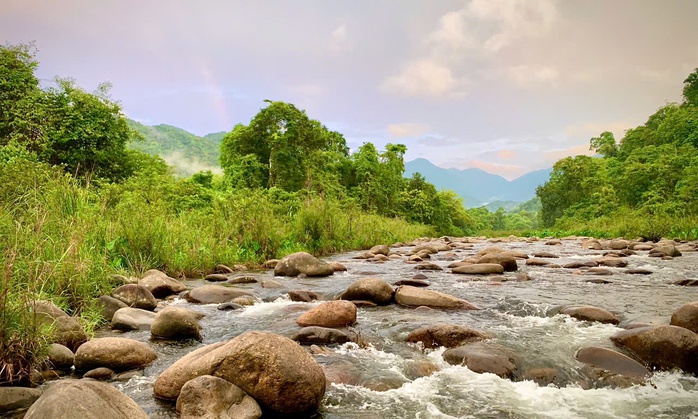 Ngắm vẽ đẹp hoang sơ, kỳ vĩ tại Vườn quốc gia Vũ Quang - Ảnh 21.