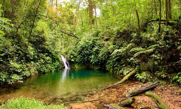 Ngắm vẽ đẹp hoang sơ, kỳ vĩ tại Vườn quốc gia Vũ Quang - Ảnh 19.