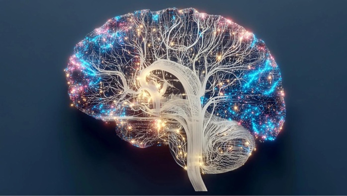 Nghi&ecirc;n cứu Mỹ ph&aacute;t hiện điều kỳ lạ xảy ra khi thiếu ngủ - Ảnh 1.