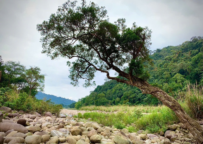 Ngắm vẽ đẹp hoang sơ, kỳ vĩ tại Vườn quốc gia Vũ Quang - Ảnh 5.