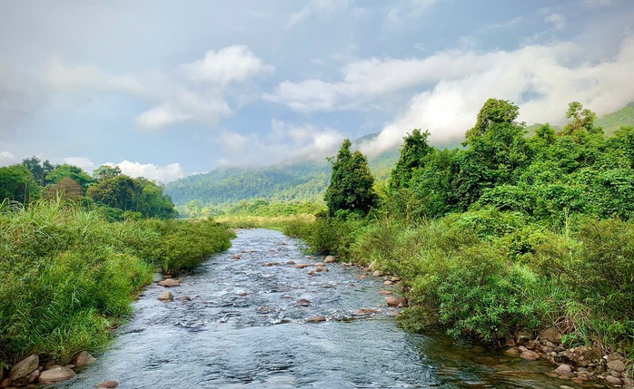 Ngắm vẽ đẹp hoang sơ, kỳ vĩ tại Vườn quốc gia Vũ Quang - Ảnh 14.