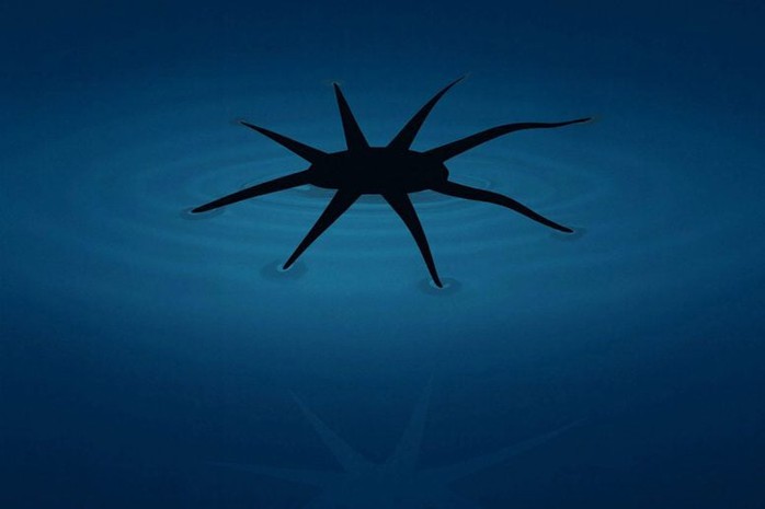 Những robot độc lạ - Ảnh 3.