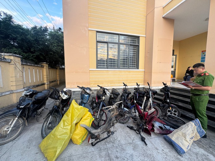 Trộm li&ecirc;n tiếp 12 xe m&aacute;y, xe điện, nh&oacute;m thiếu ni&ecirc;n ở Gia Lai sa lưới - Ảnh 1.