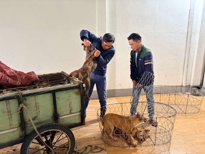 Vụ trộm 5.200 con ch&oacute;, thu lợi bất ch&iacute;nh 2,6 tỉ đồng: Khởi tố, tạm giam 6 đối tượng - Ảnh 3.