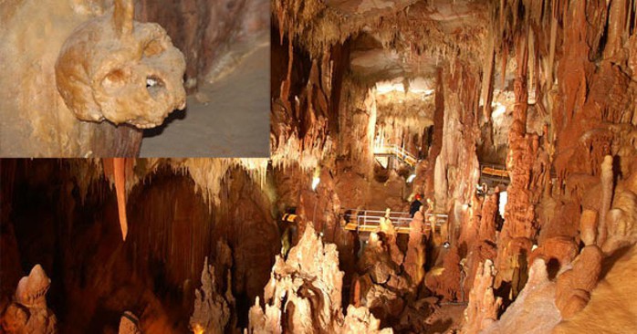 Hộp sọ l&agrave;m lung lay thuyết "lo&agrave;i người bắt nguồn từ ch&acirc;u Phi" - Ảnh 1.