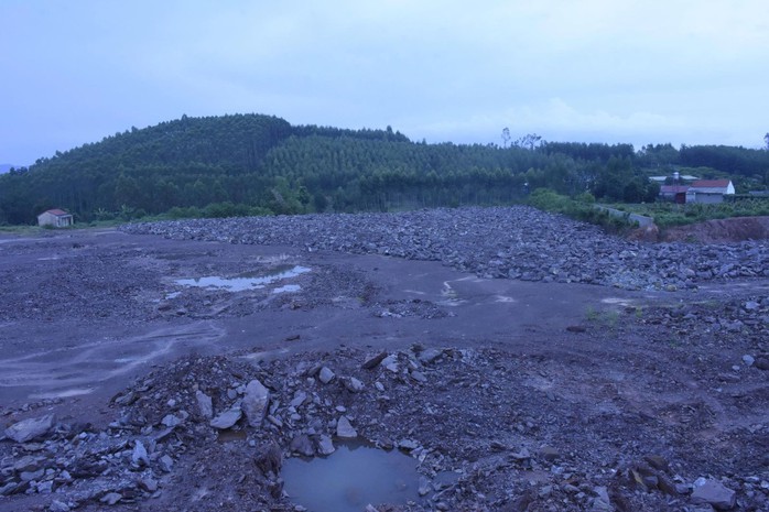 Khởi tố nguy&ecirc;n Ph&oacute; Trưởng ph&ograve;ng T&agrave;i nguy&ecirc;n v&agrave; m&ocirc;i trường - Ảnh 1.