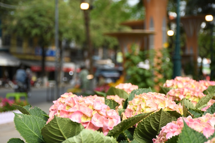 Linh vật ngựa m&atilde; đ&aacute;o th&agrave;nh c&ocirc;ng đ&oacute;n Xu&acirc;n 2026 ven s&ocirc;ng Đồng Nai - Ảnh 13.