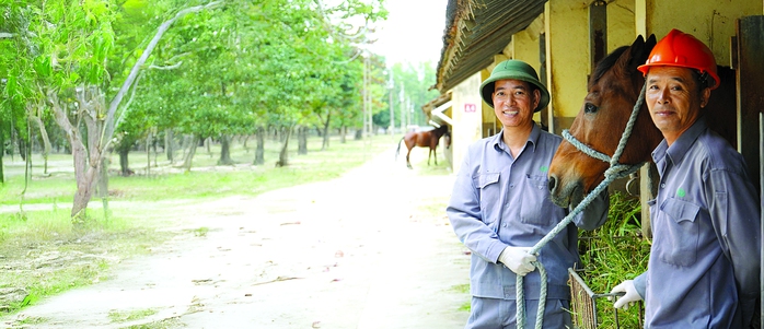 130 năm nuôi ngựa cứu người - Ảnh 1.