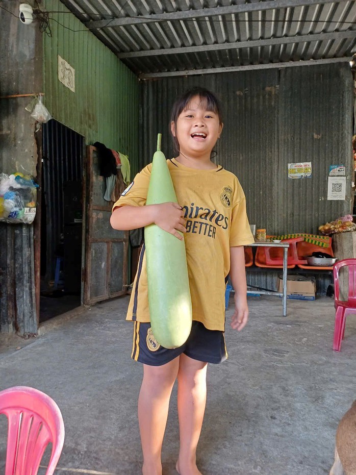 Cuộc thi &ldquo;Tết xanh&rdquo;: Giữ Tết xanh trong từng nếp sống - Ảnh 1.