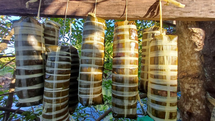 - Ảnh 13. - Ảnh 13.