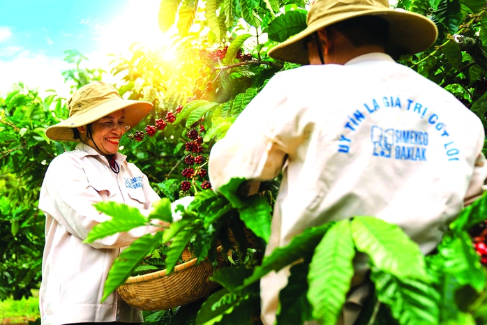 T&acirc;m thế của doanh nghiệp dẫn đầu - Ảnh 2.