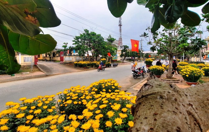 Tấp nập "chở Tết" ra đặc khu L&yacute; Sơn - Ảnh 8.