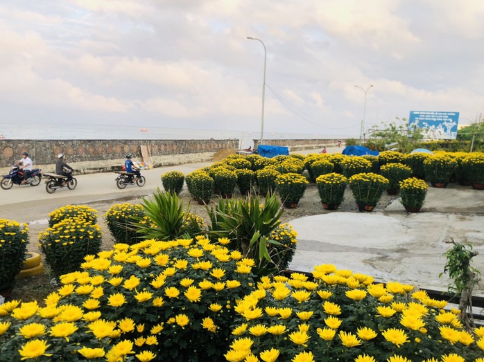 Tấp nập "chở Tết" ra đặc khu L&yacute; Sơn - Ảnh 7.