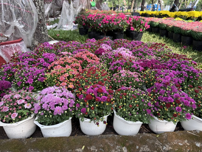 Kh&aacute;m ph&aacute; c&aacute;c lọai hoa kiểng lạ tại chợ hoa Tết 2026 ở TP HCM - Ảnh 13.