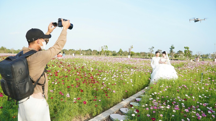 VIDEO: C&aacute;nh đồng hoa sao nh&aacute;i tuyệt đẹp ở C&agrave; Mau - Ảnh 13.