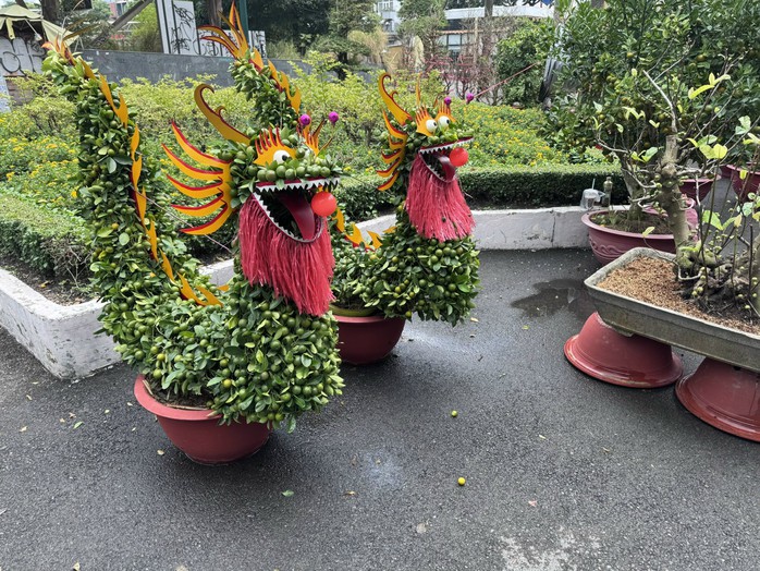 Kh&aacute;m ph&aacute; c&aacute;c lọai hoa kiểng lạ tại chợ hoa Tết 2026 ở TP HCM - Ảnh 2.