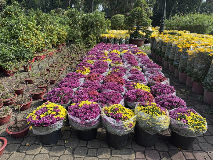 Kh&aacute;m ph&aacute; c&aacute;c lọai hoa kiểng lạ tại chợ hoa Tết 2026 ở TP HCM - Ảnh 14.