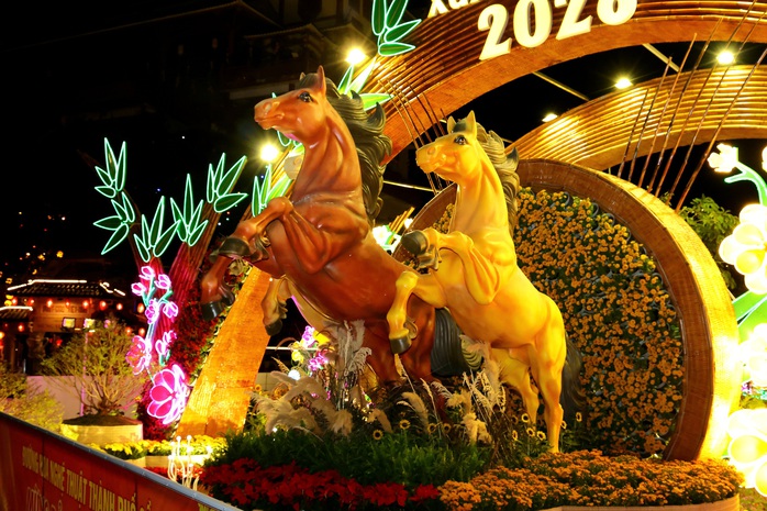 Người d&acirc;n th&iacute;ch th&uacute; check-in tại đường hoa nghệ thuật Cần Thơ trong đ&ecirc;m khai mạc - Ảnh 2.