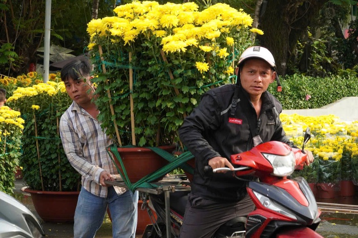 Mang Tết về nhà từ những chợ hoa công viên - Ảnh 2.