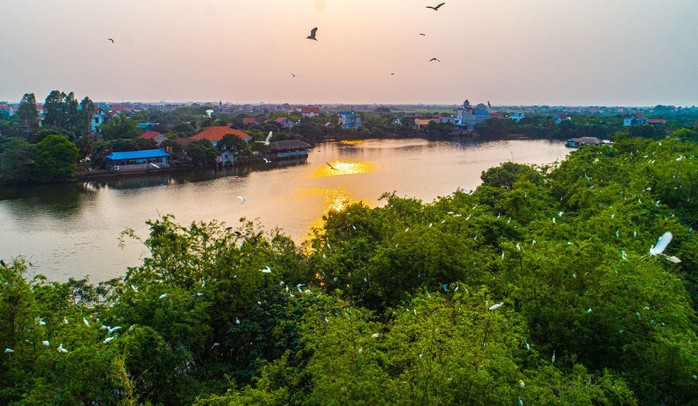 Kỳ b&iacute; đảo C&ograve; Hải Dương &ndash; "vương quốc" của hơn 20.000 chim trời - Ảnh 1.