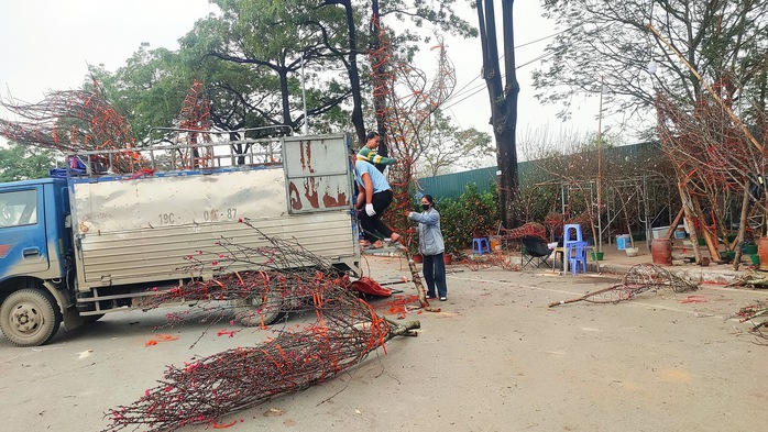 Cuộc thi "Tết xanh": Audio - Người "kh&acirc;u v&aacute;" m&ugrave;a xu&acirc;n - Ảnh 2.