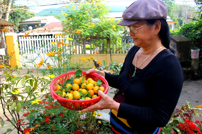 Cuộc thi "Tết xanh": Mứt quật nhà làm - hương Tết xanh còn mãi - Ảnh 3. Cuộc thi "Tết xanh": Mứt quật nhà làm - hương Tết xanh còn mãi - Ảnh 3.