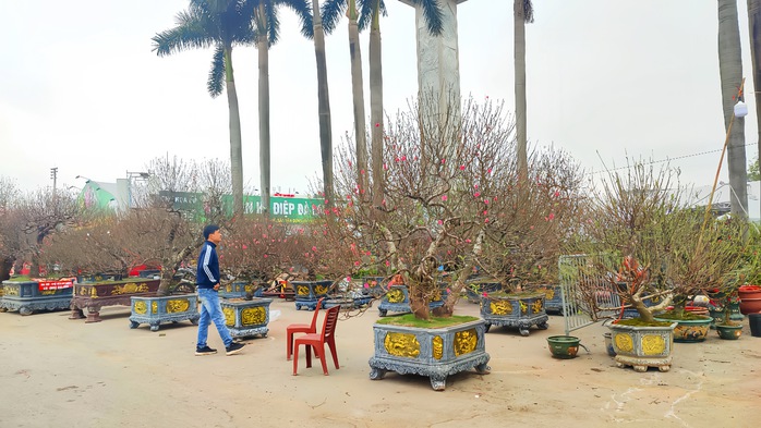 Cuộc thi "Tết xanh": Audio - Người "kh&acirc;u v&aacute;" m&ugrave;a xu&acirc;n - Ảnh 6.